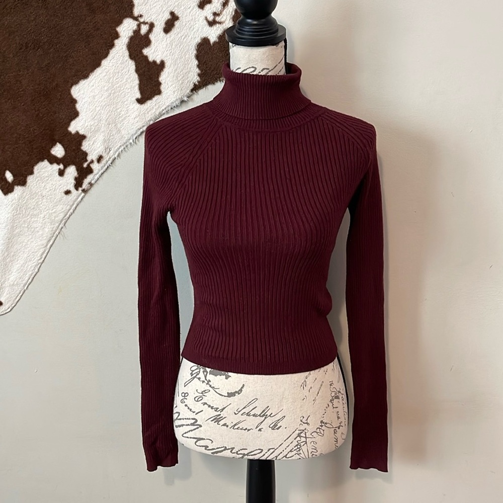 Back to the Basics Turtleneck Top - Burgundy